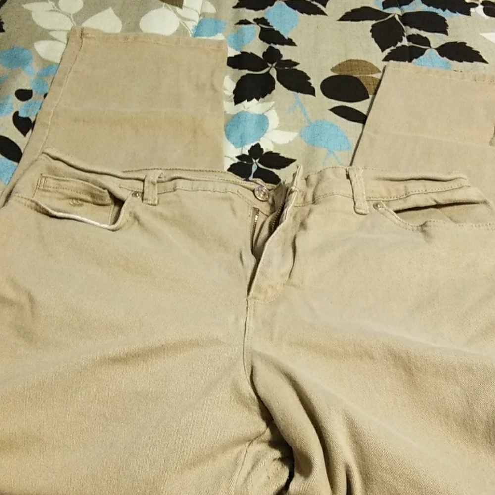 Gloria Vanderbilt Biege Pants